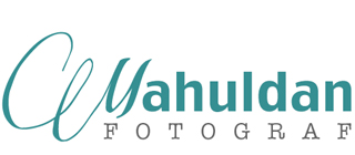 Mahuldan logotyp